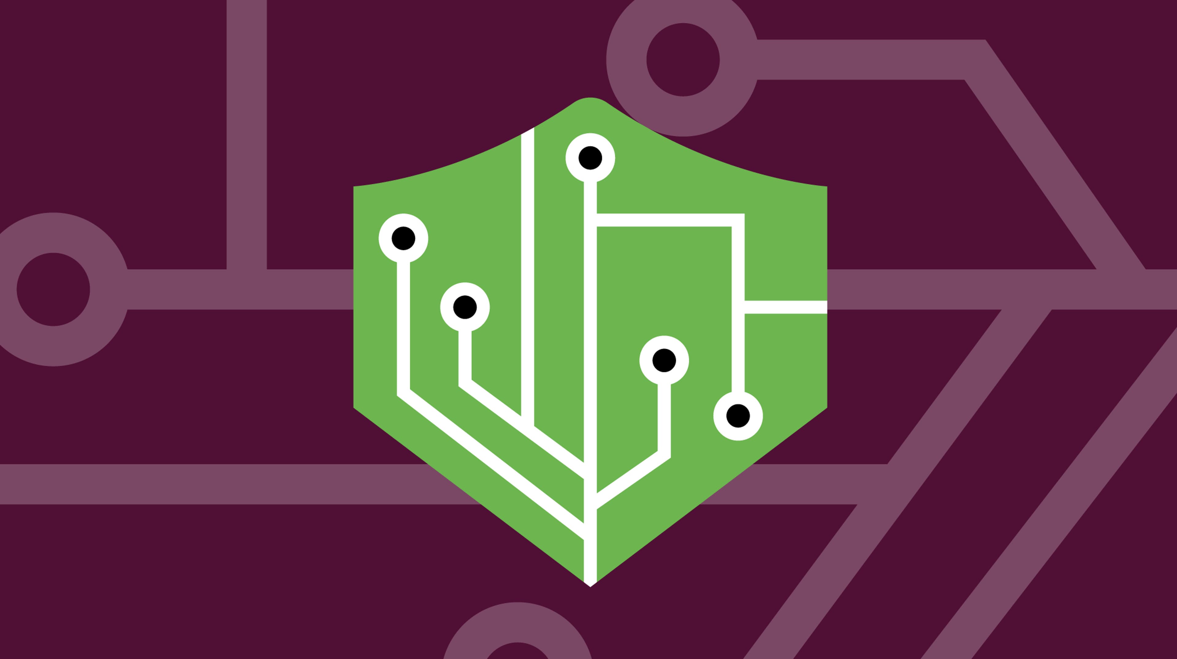 icon for the privacy engineering iapp section