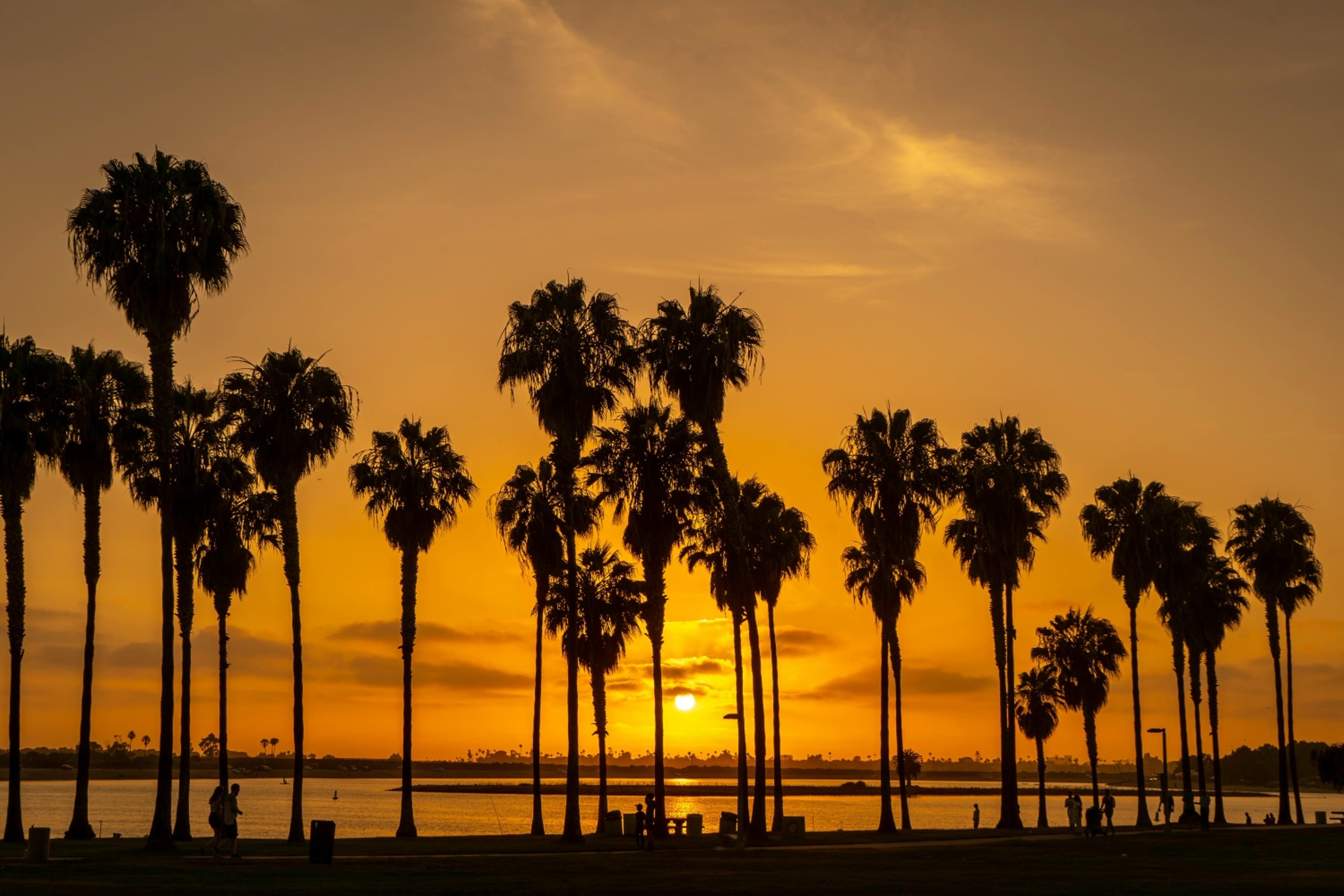 california-sunset-palmtrees-US-3724.jpg