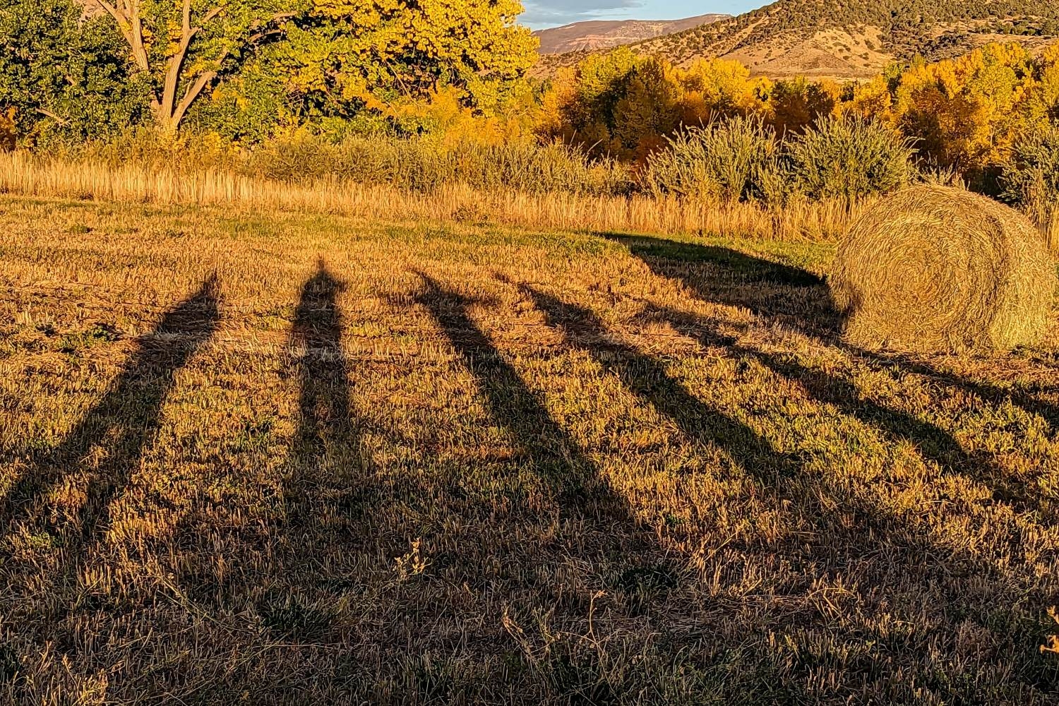 Fall-hay-shadow-CobunZweifelKeegan-DC View-06.07.24.jpg