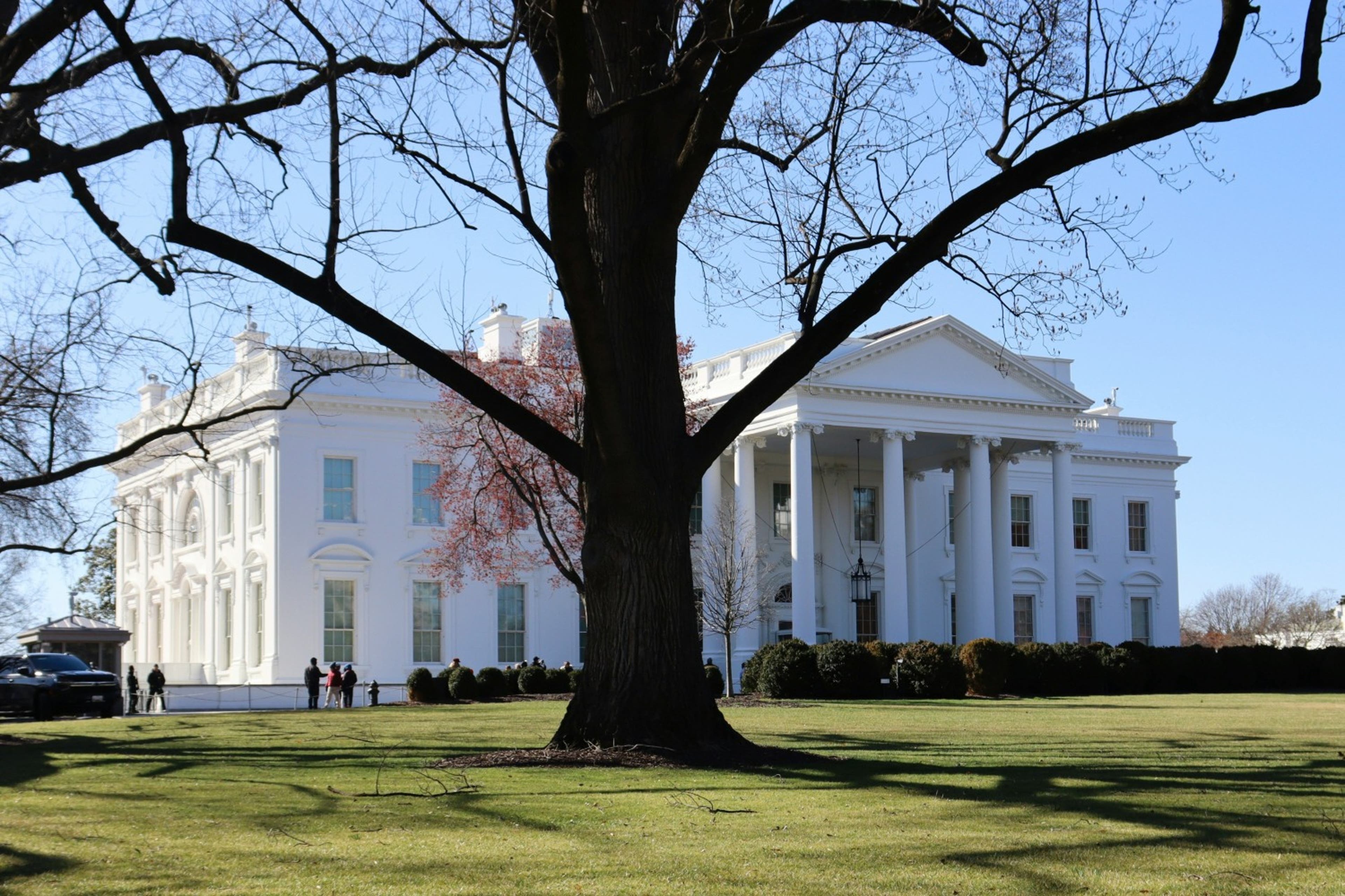 whitehouse-behind-tree-us-121124.jpg