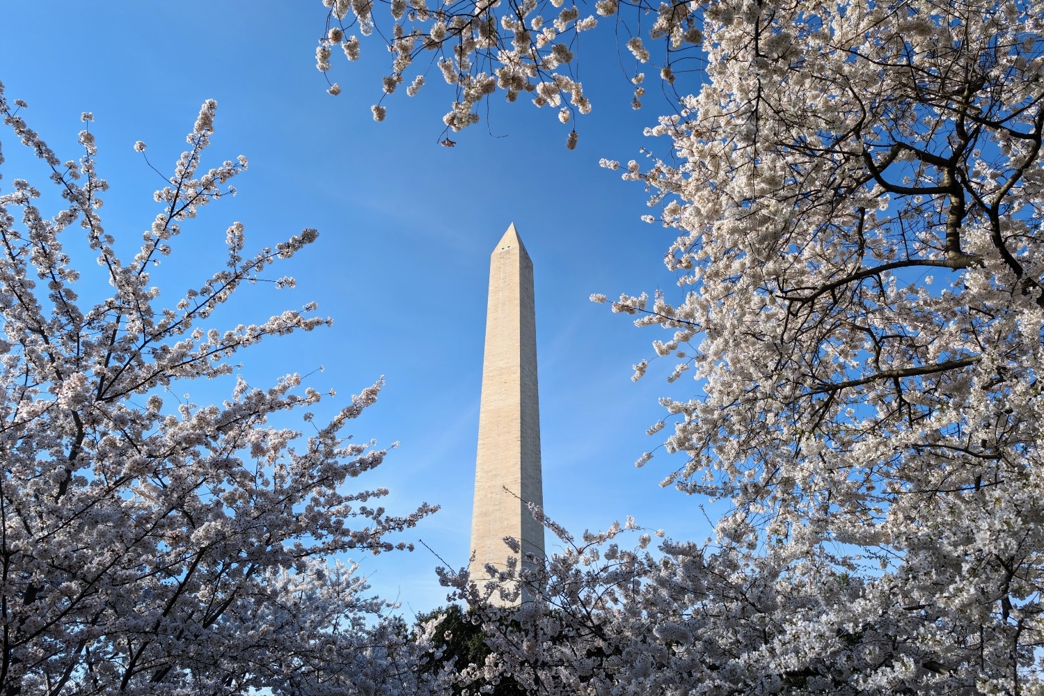 Washington-monument-US-DC-View-03.29.24.jpg