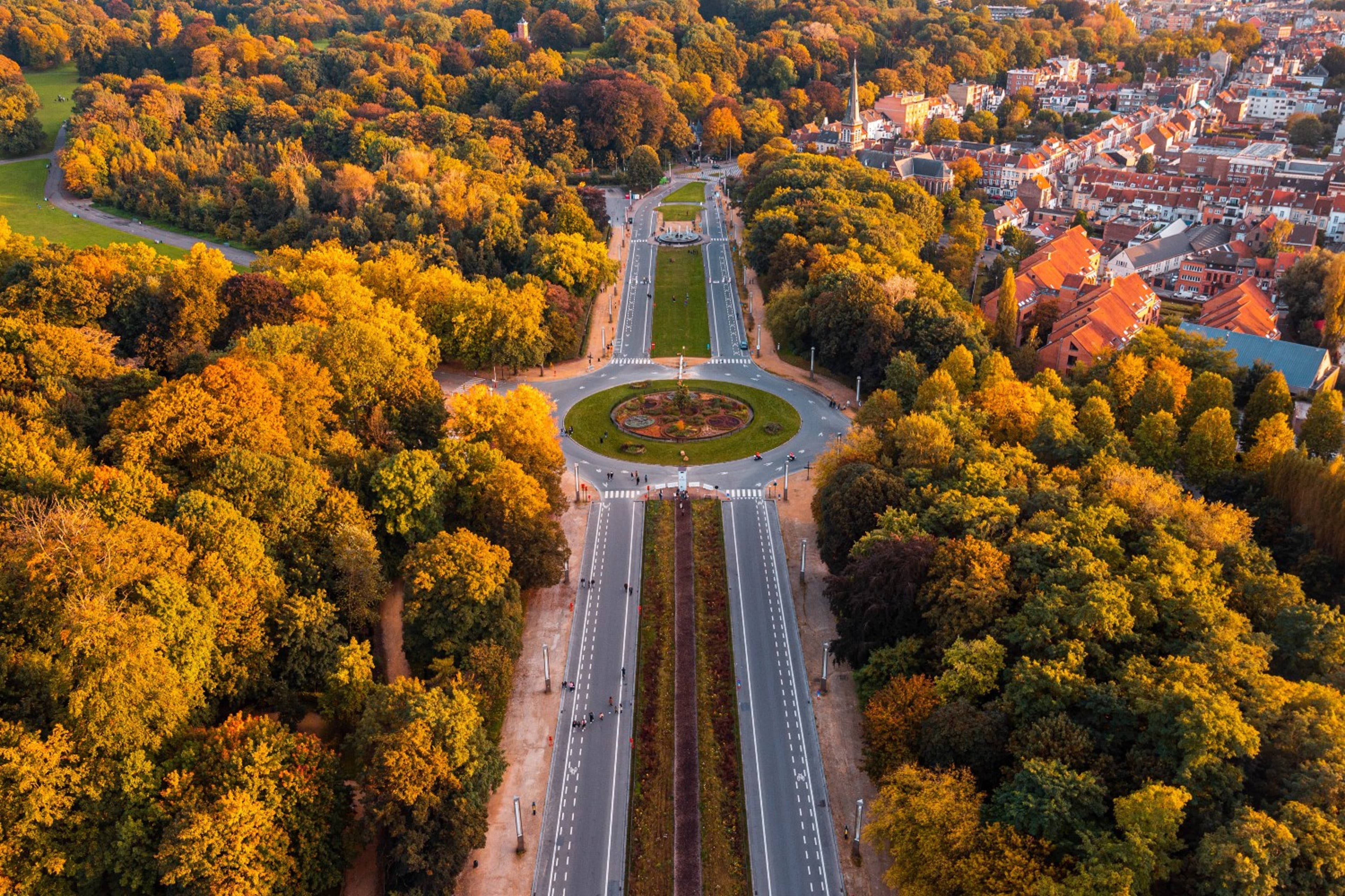 brussels-road-city-foliage-aviewfrombrussels-11923.jpg