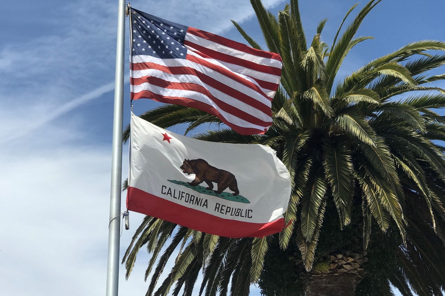 california-flag-palmtree-privacylaw-0913231.jpg