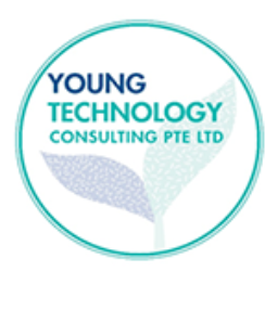Young Technology Consulting