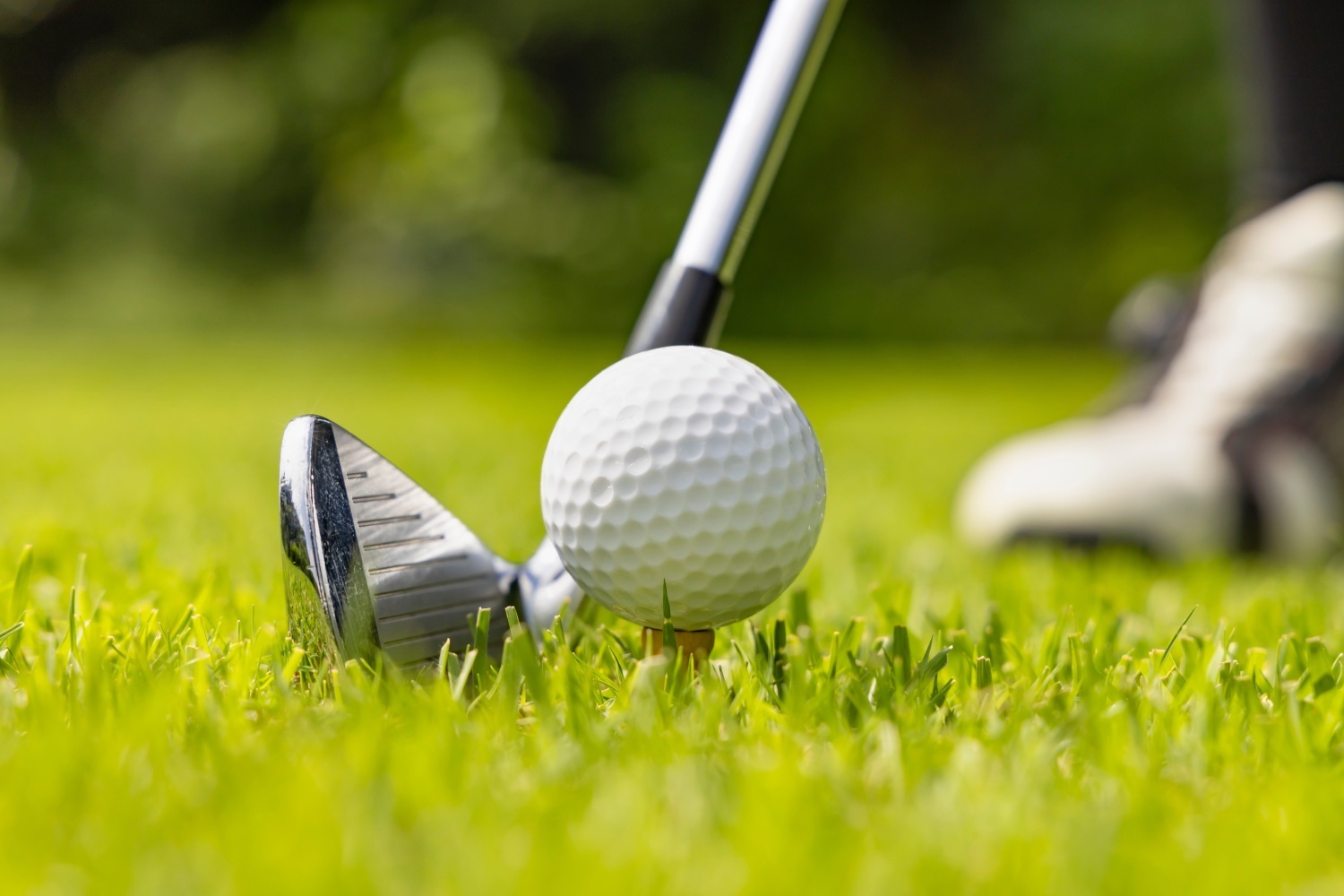golf-club-other-011226.jpg