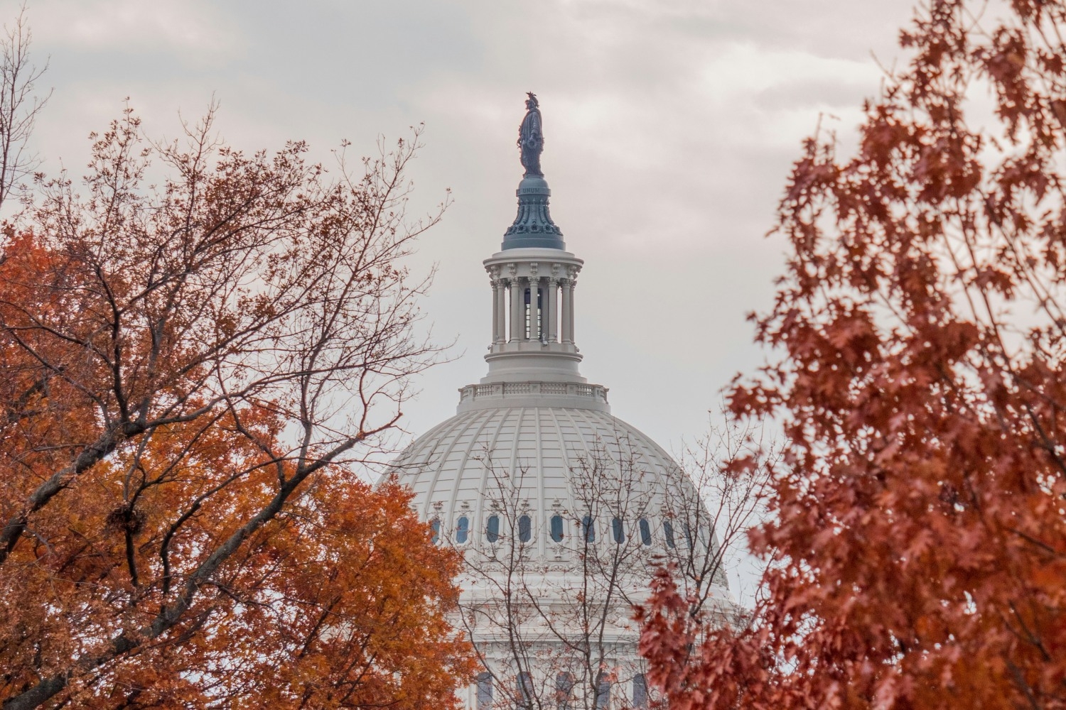 foliage-trees-capitol-building-US-052124.jpg