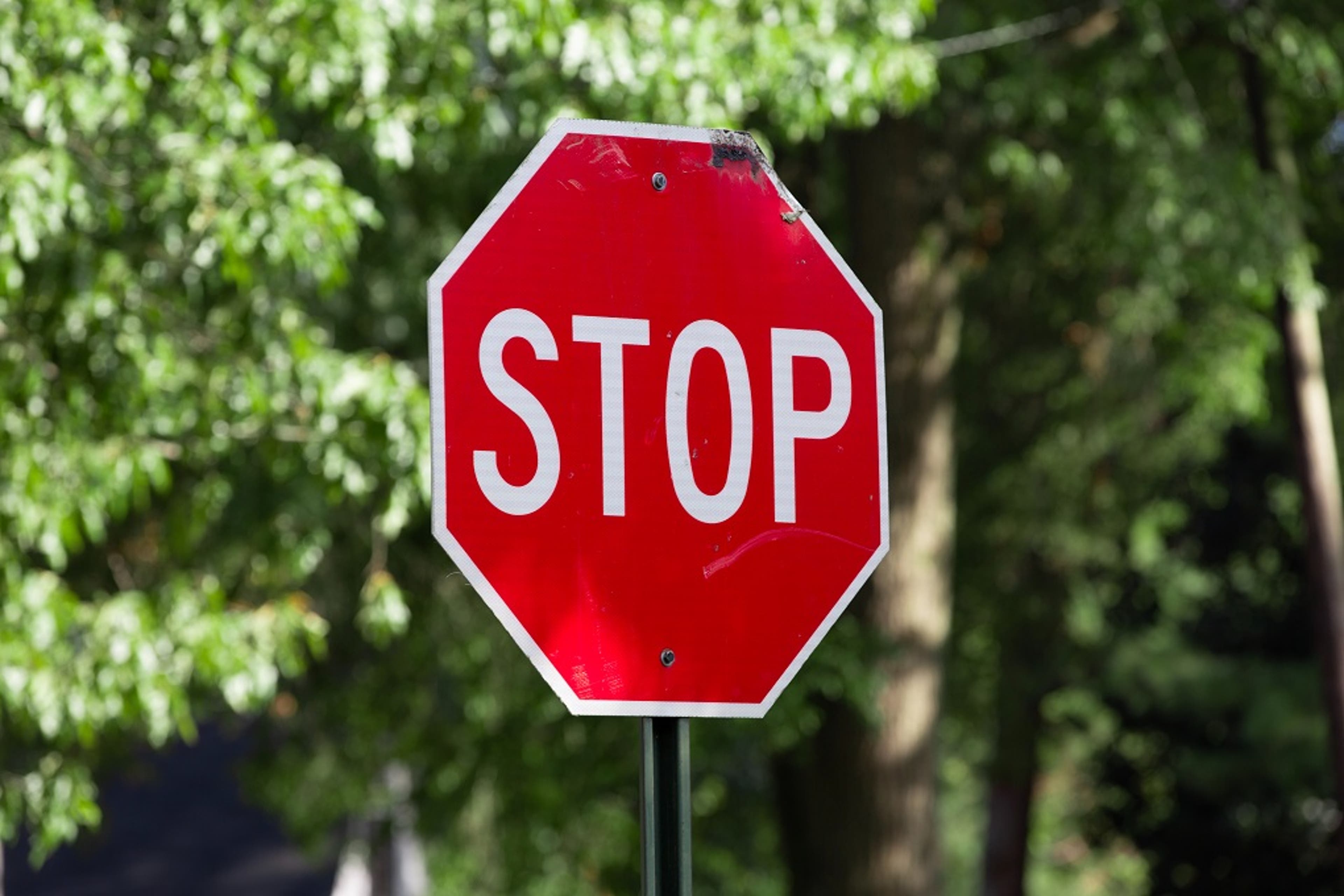 stop-sign-trees-other.jpg