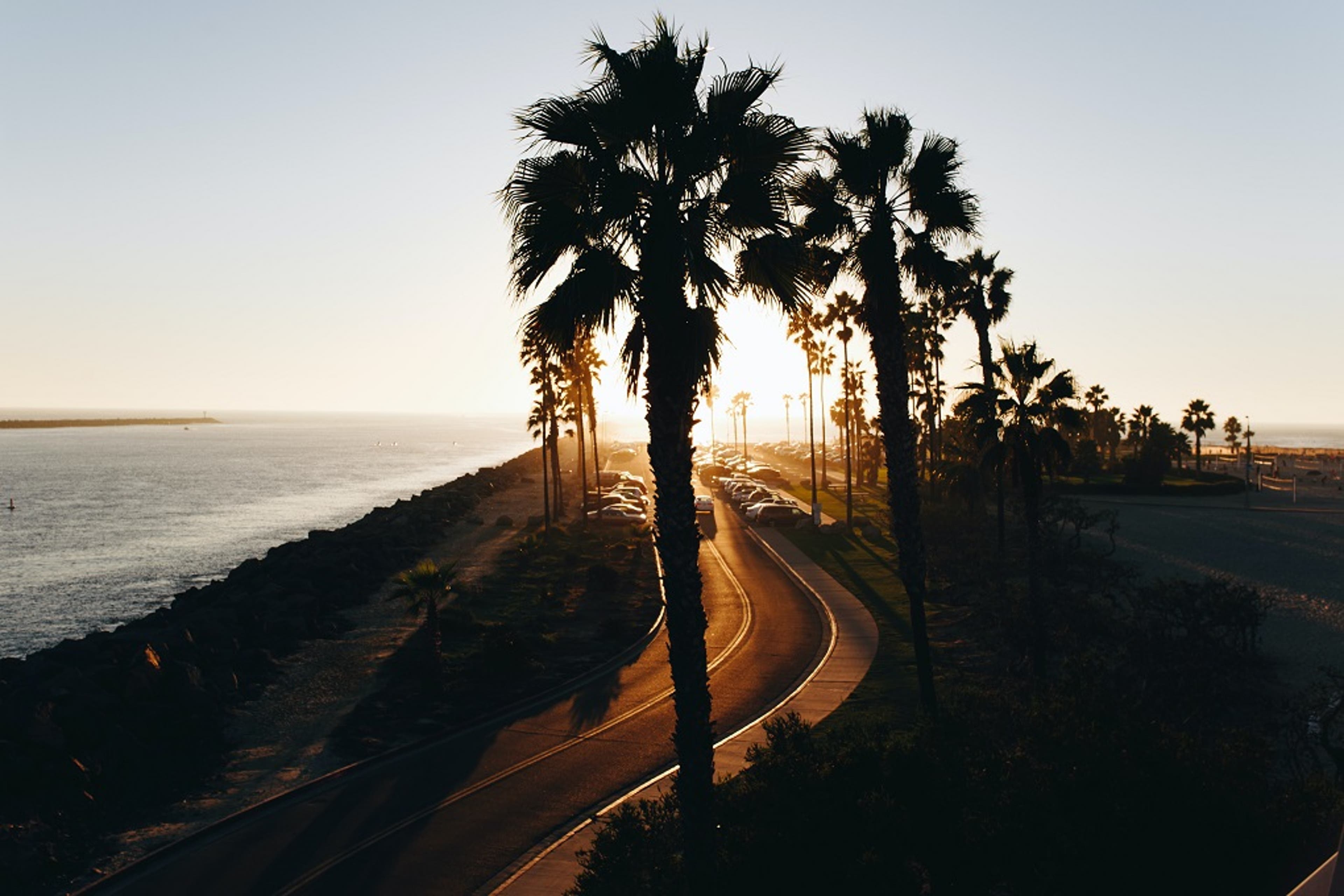 palmtree-sunset-california-US.jpg