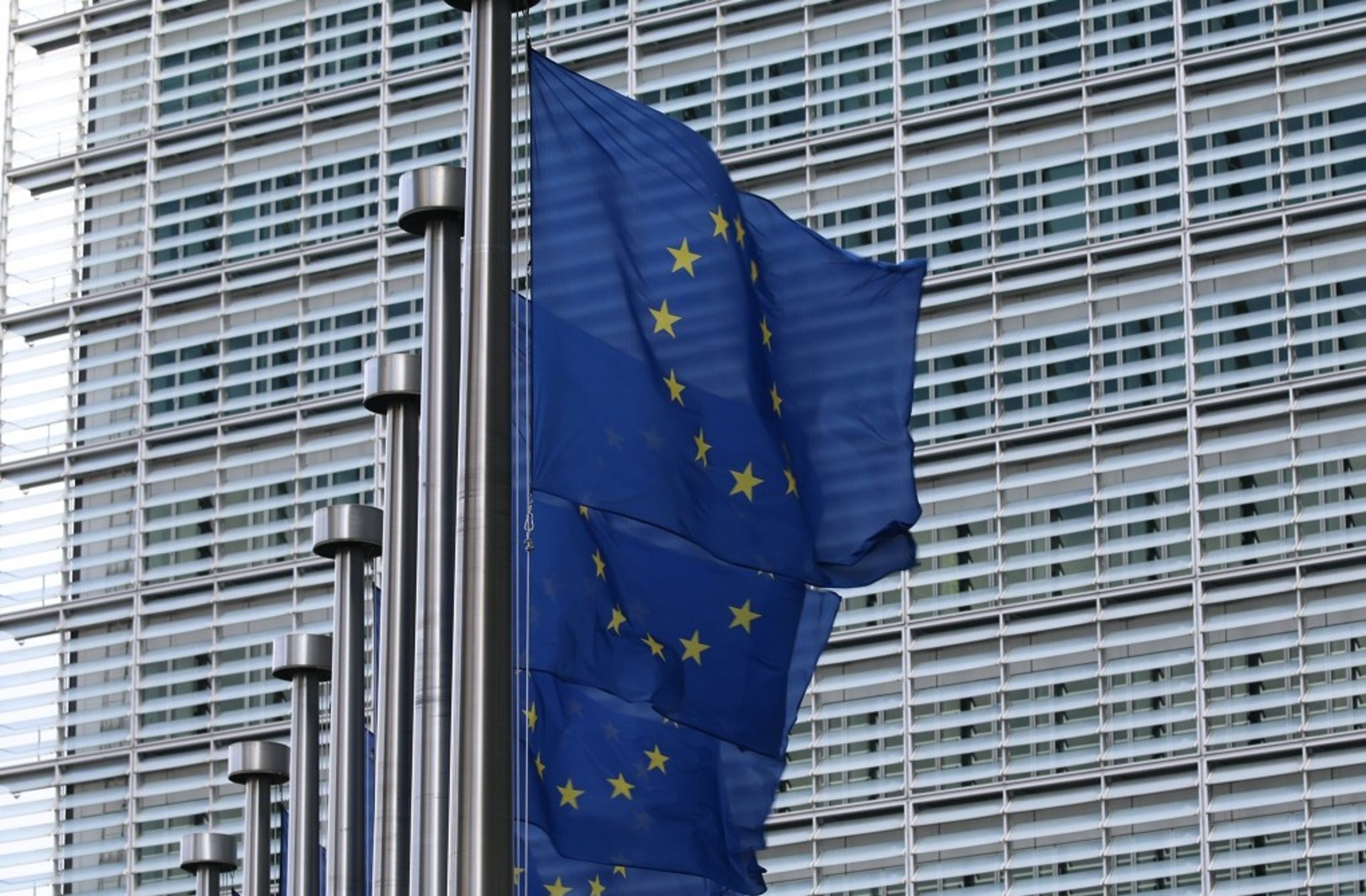 eu-flags-building-europe.jpg