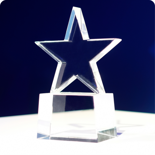 The IAPP leadership award trophy. The trophy is shaped like a star
