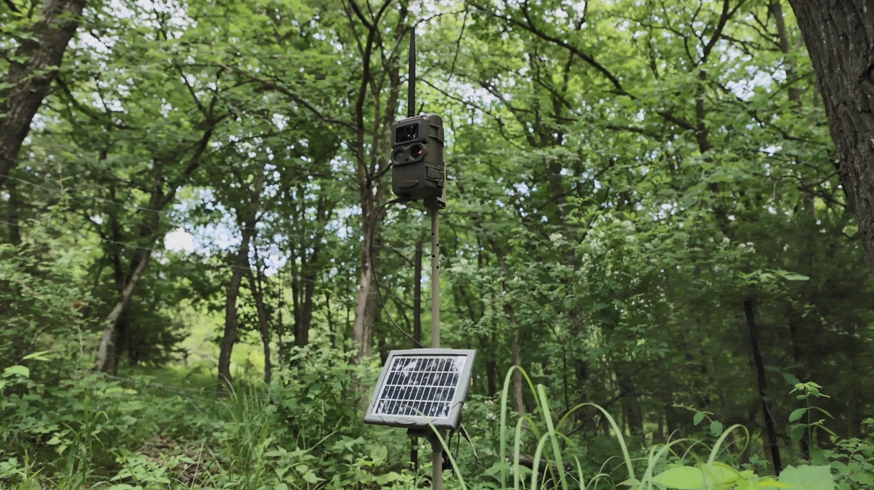 Image relating to Trail Camera Placement Tips