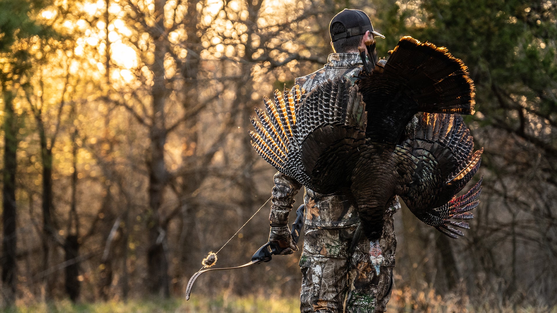 Bow Hunting Turkeys for Beginners | Jared Mills