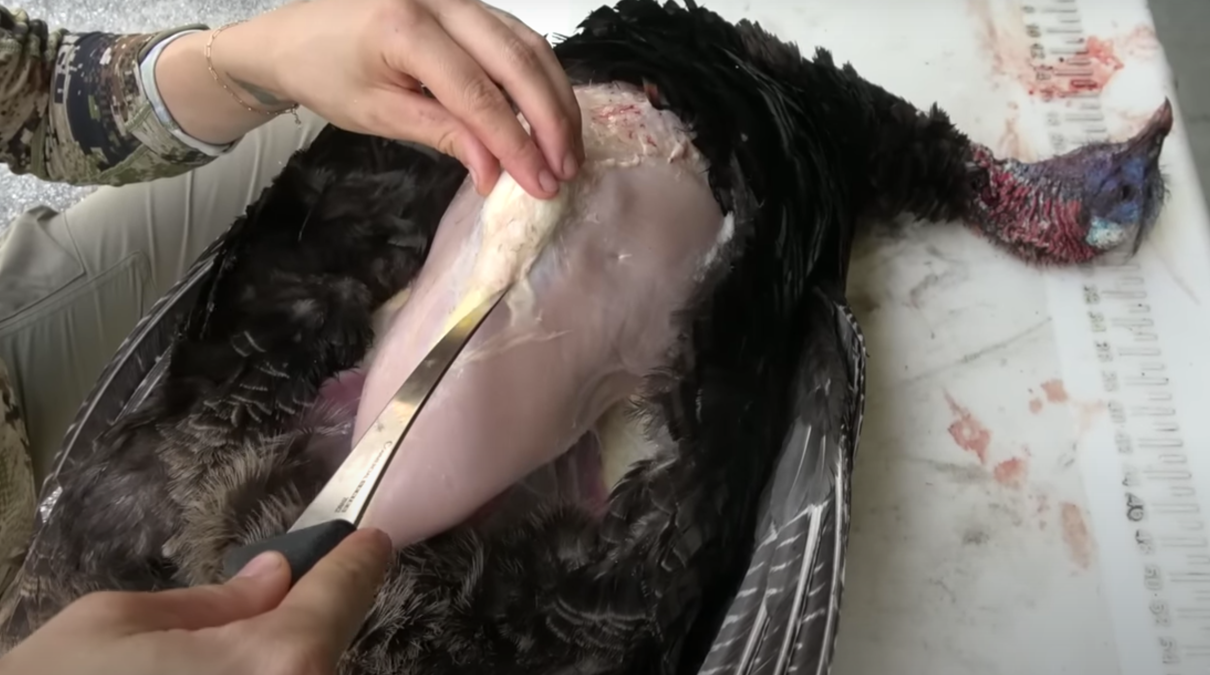 Image relating to How to Butcher a Turkey