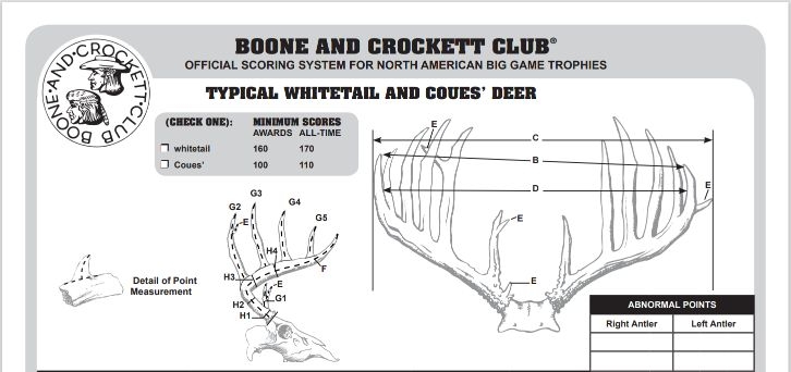 Image relating to How to Score Buck Antlers