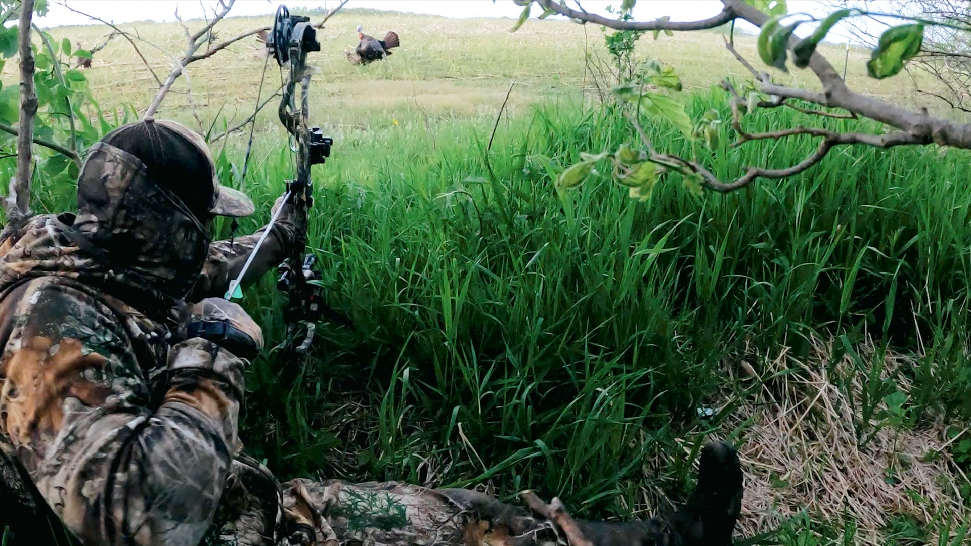 Turkey Bow Hunting Shot Placement Tip