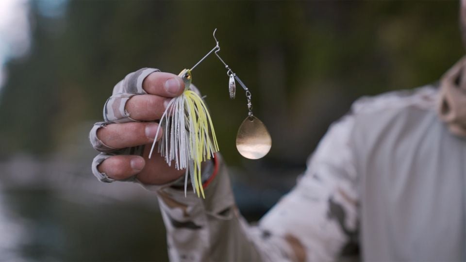 What You Should Know About Spinnerbait Blades