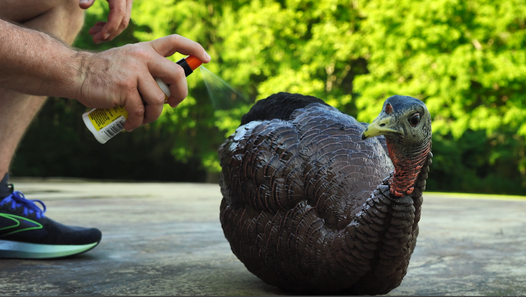 Image relating to How to Set Up and Take Down Turkey Decoys
