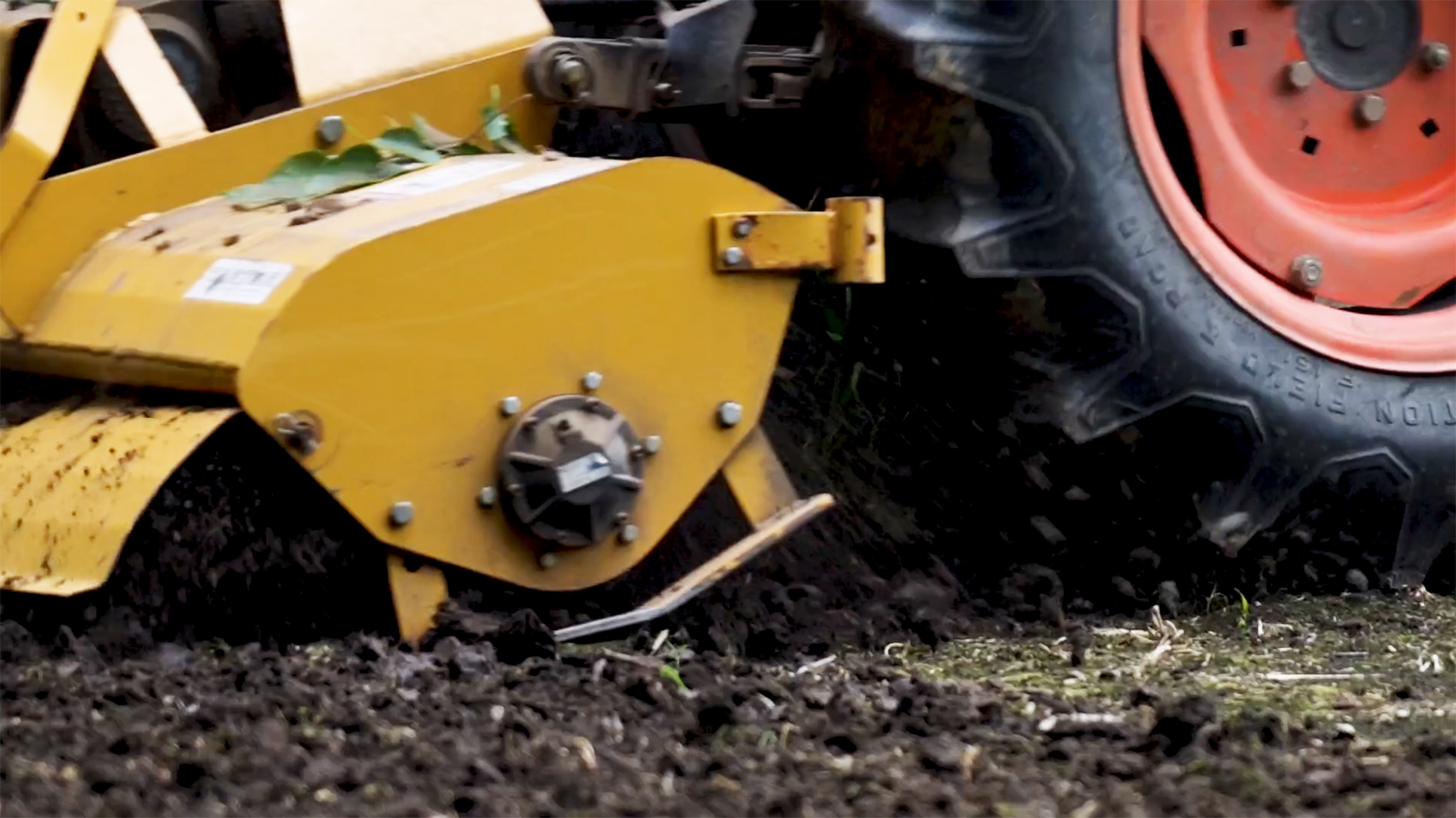 Image relating to Fall Food Plot Seeding Methods
