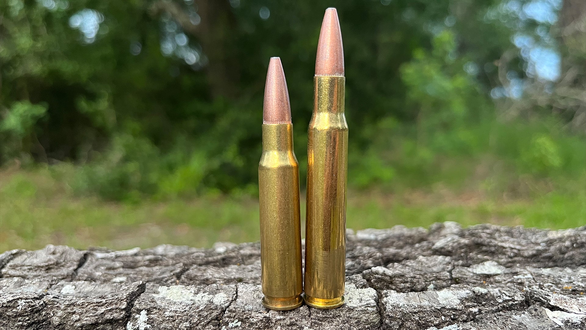 30-06 vs 308 Winchester