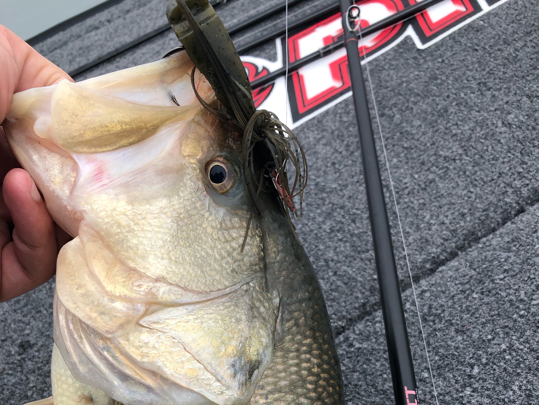 Bladed Jig in Spring | MidwayUSA