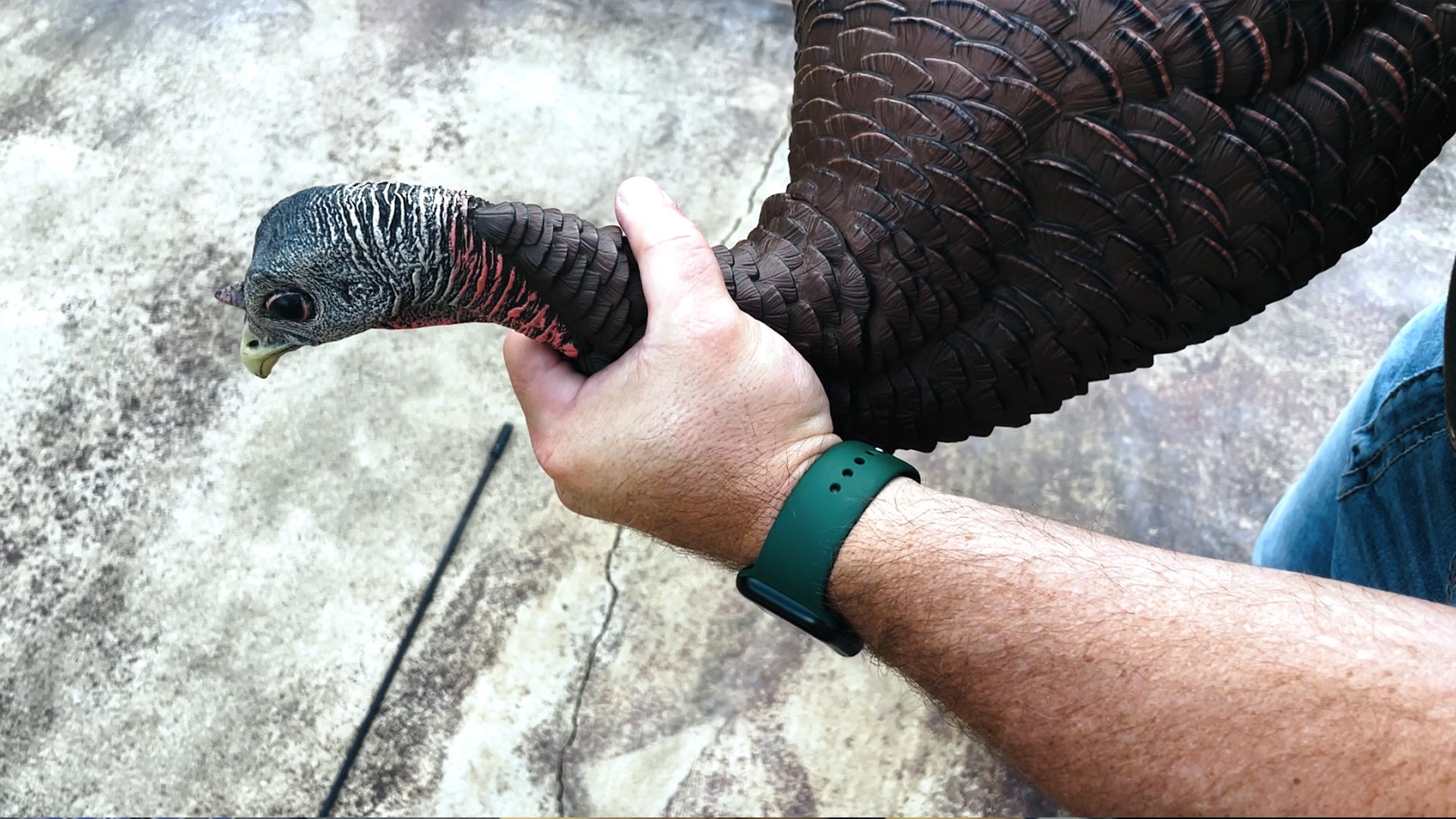 How to Preserve Your Turkey Decoys