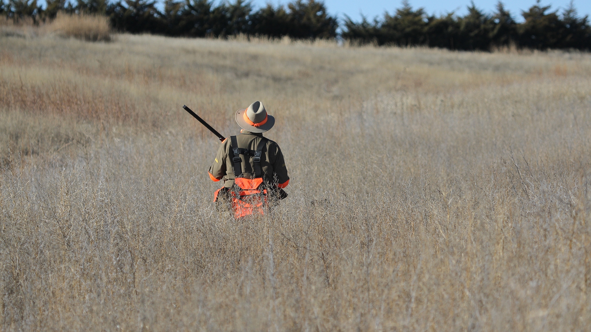 Image relating to How to Direct Your Hunting Dog with Body Language