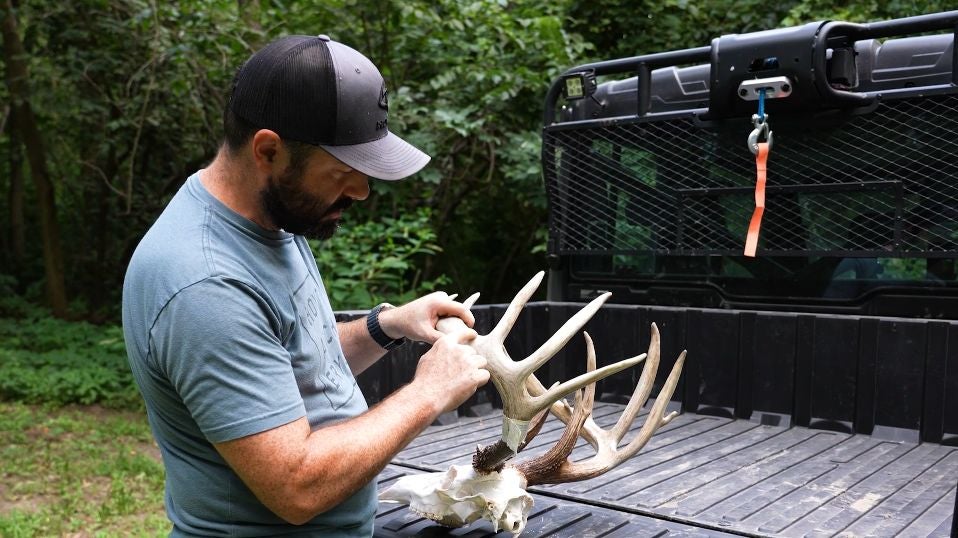 how-to-preserve-your-mouth-call-midwayusa