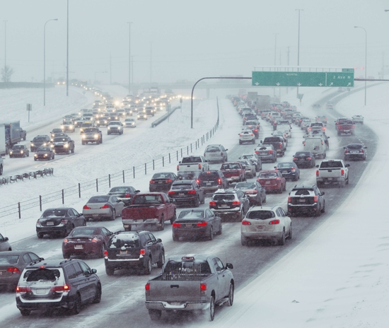palm trees blowing in hurricane winds