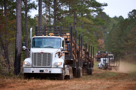 timber loaded on a flatbed Schneider truck