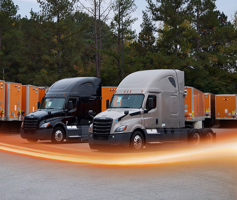Line of Freightliners