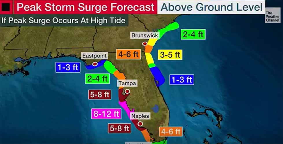 hurricane ian storm surge forecast