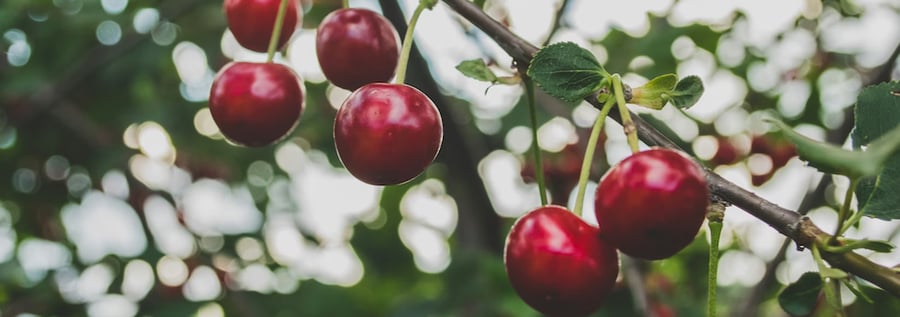 Cherry-Pick Voice Tasks in Webex Contact Center