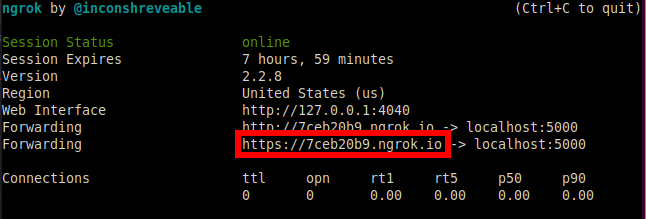 ngrok screenshot