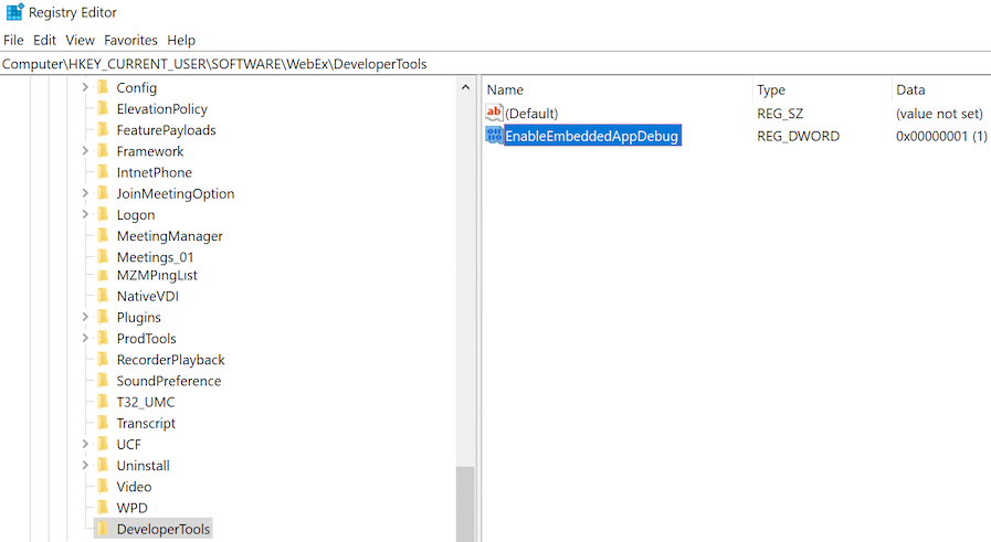 Windows Registry key/value to enable debugging