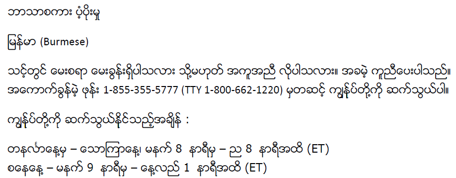 Burmese_Lang_Details.png