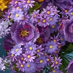 Purple & Blue Flowers