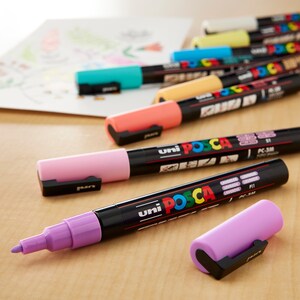 Paint Pens