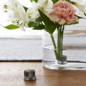 Stems in a clear vase