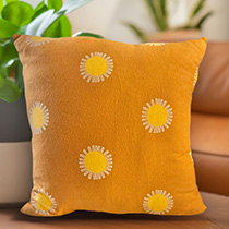 sunshine pillow 