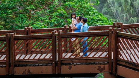 Hong_Kong_Hong_Kong_Park_514175149.jpg