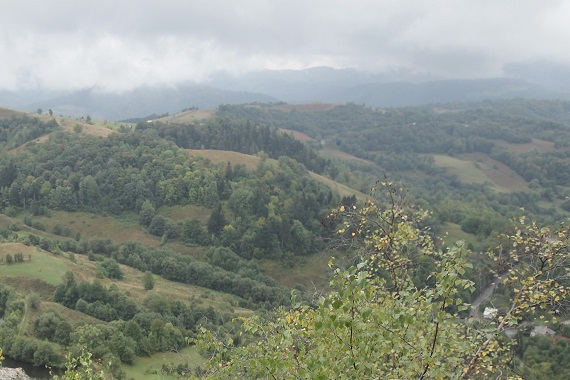 BHP Foundation Natural Resource Governance program | BHP Foundation