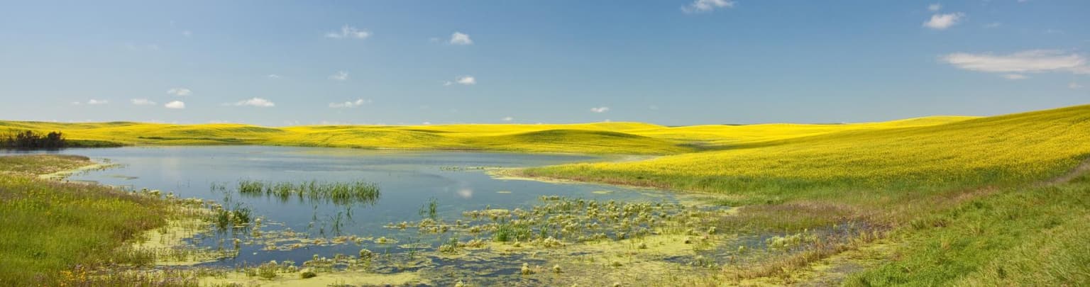 IISD_Alberta_prairie_marsh IISD_Alberta_prairie_marsh