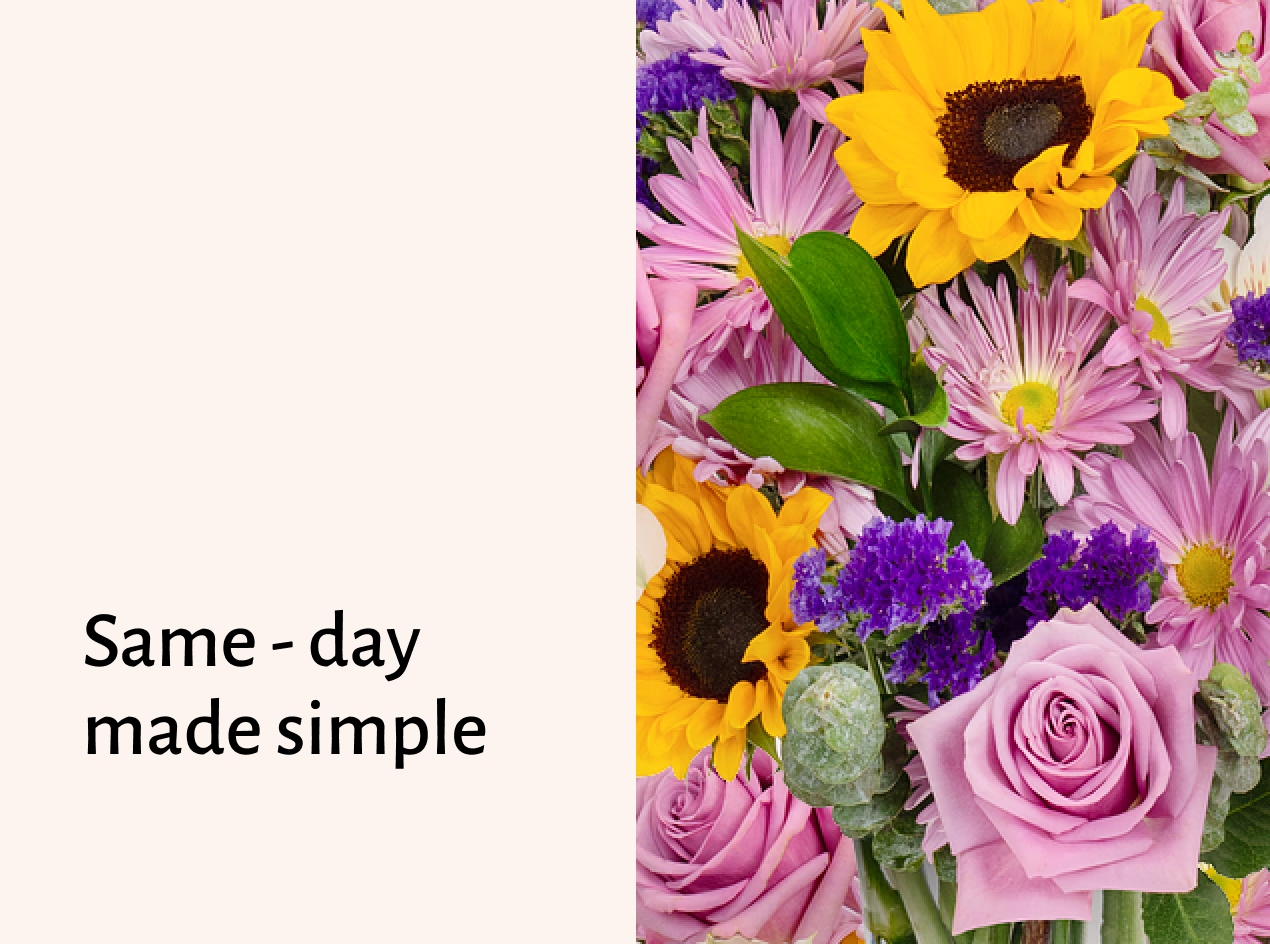Shop Same Day