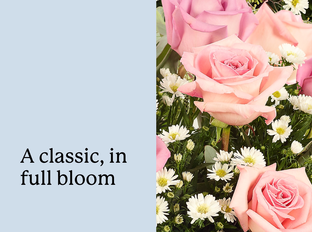 Shop Rose Month