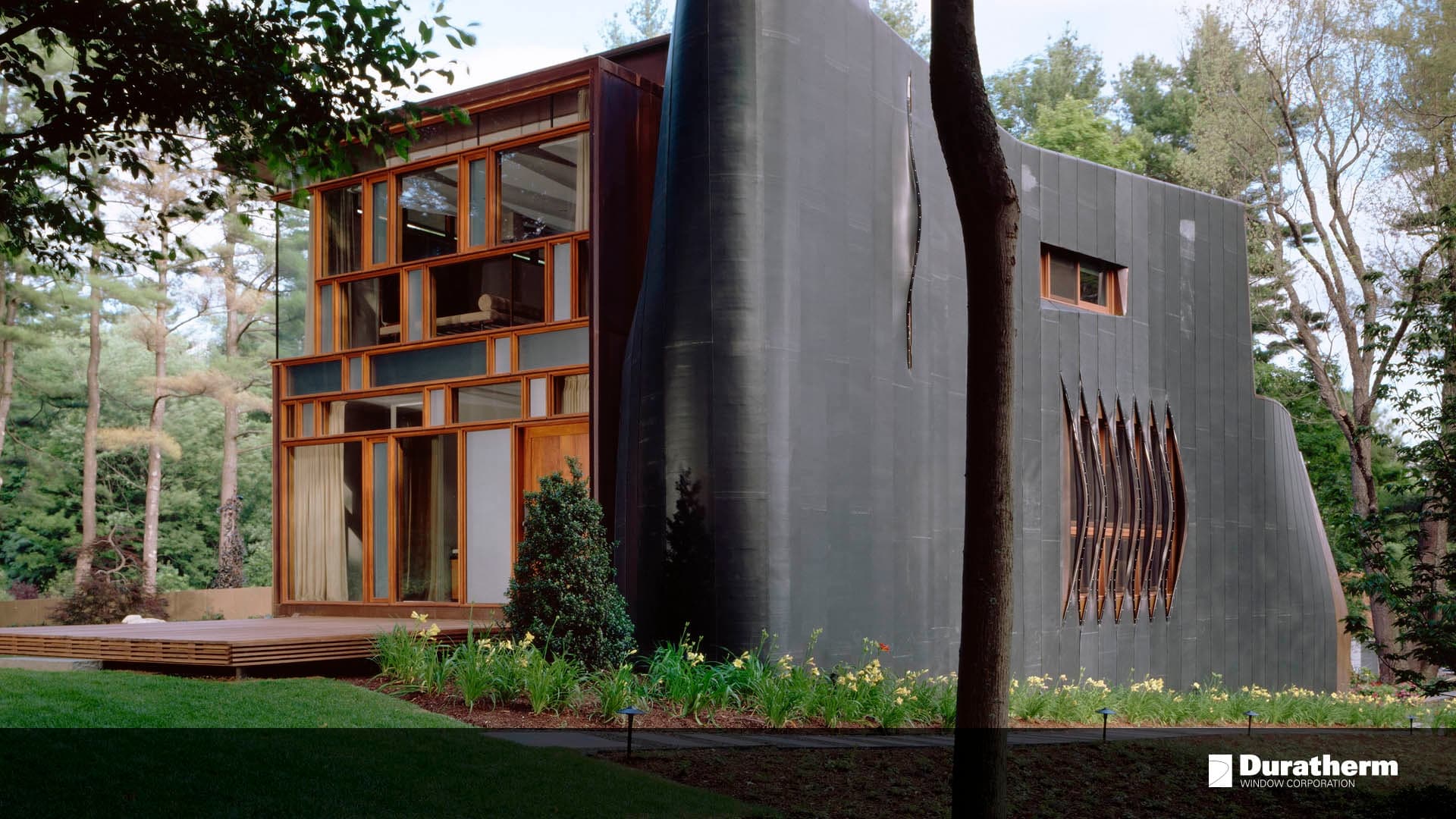 black-stained wood siding with custom window cutouts on a home with ultra-modern window walls on the other side