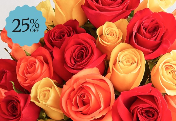 Deal of the Week >