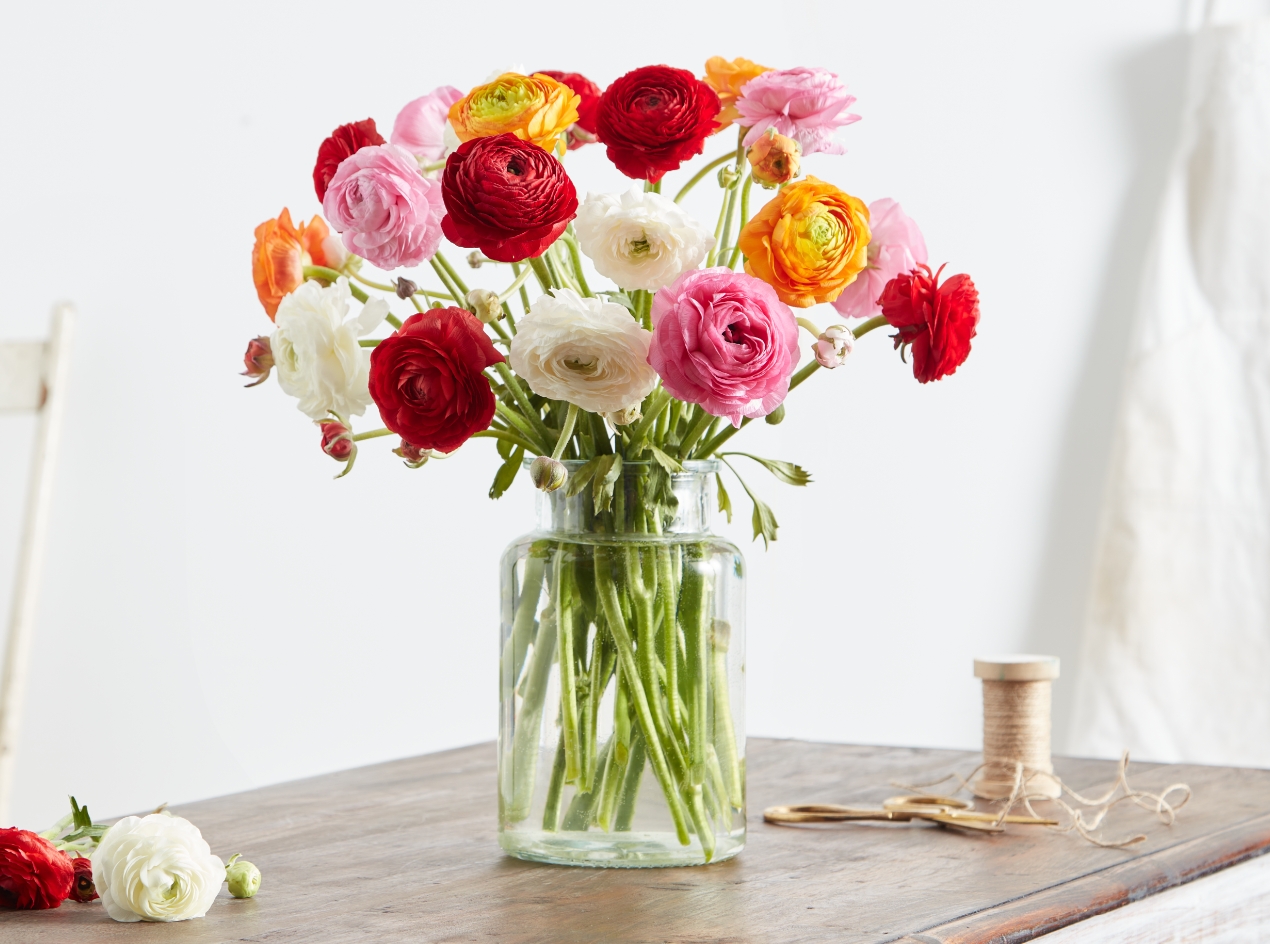 Radiant Ranunculus Bouquet