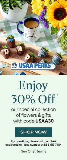 usaa_fday_222x525_s30.jpg