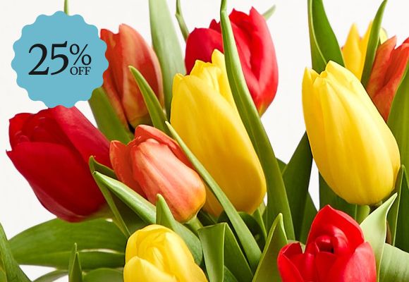 Deal of the Week >