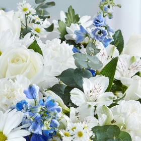 Sympathy Flowers >